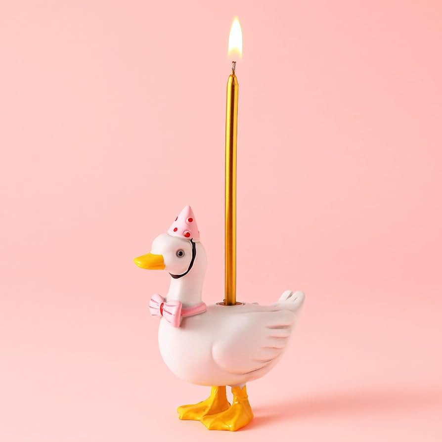 Mumufy Silly Goose Cake Candle Holders with Birthday Candle One Birthday Party Supplies Mini Cute... | Amazon (US)