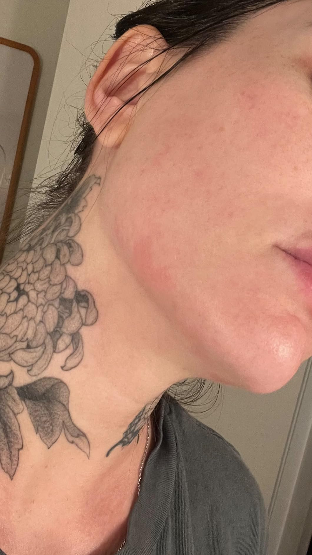 True Botanicals Renew Pure Radiance Oil | All Skin Types | Anti-Aging Face Oil w/Algae Extract | ... | Amazon (US)