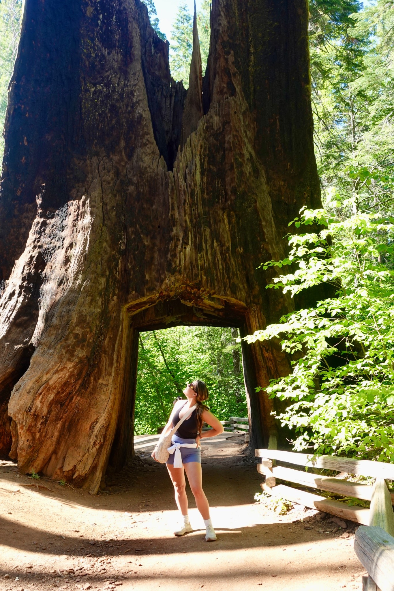 tuoulmne grove ✌️ 

sol and solene quilted puffer crossbody, lululemon align shorts, halter, define jacket nulu, 

#LTKSummerEdit #LTKFindsUnder100 #LTKActive