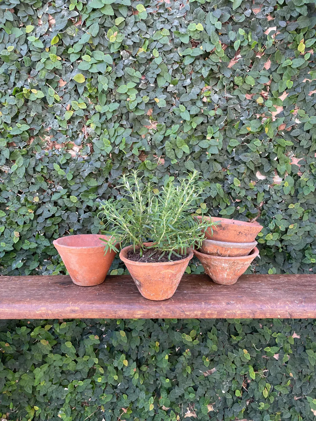 Vintage Terracotta Pots 4" Tall - Vintage French Planters - Small Antique Terracotta Pots - Herb ... | Etsy (US)