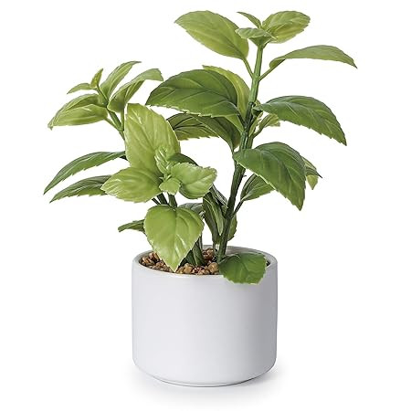 Lvydec Artificial Succulent Plants, Fake Mint Plant with a Ceramic Pot for Home Bath Office Shelf... | Amazon (US)