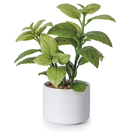 Lvydec Artificial Succulent Plants, Fake Mint Plant with a Ceramic Pot for Home Bath Office Shelf... | Amazon (US)