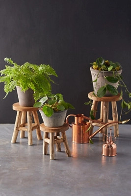Teak Plant Stand, Tall | Terrain