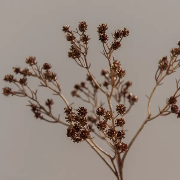 Artificial Bronze Gypsophila Spray 52cm | Dunelm (migrated)