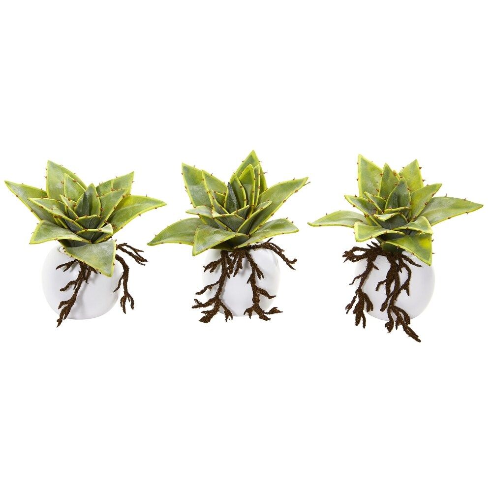 6" Dusty Succulent Artificial Plant in White Vase (Set of 3) | Bed Bath & Beyond