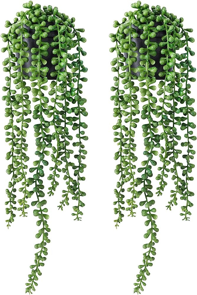 FUNARTY 2pcs Faux Plants Indoor — Artificial String of Pearls Plant in Black Pots, Realistic Gr... | Amazon (US)
