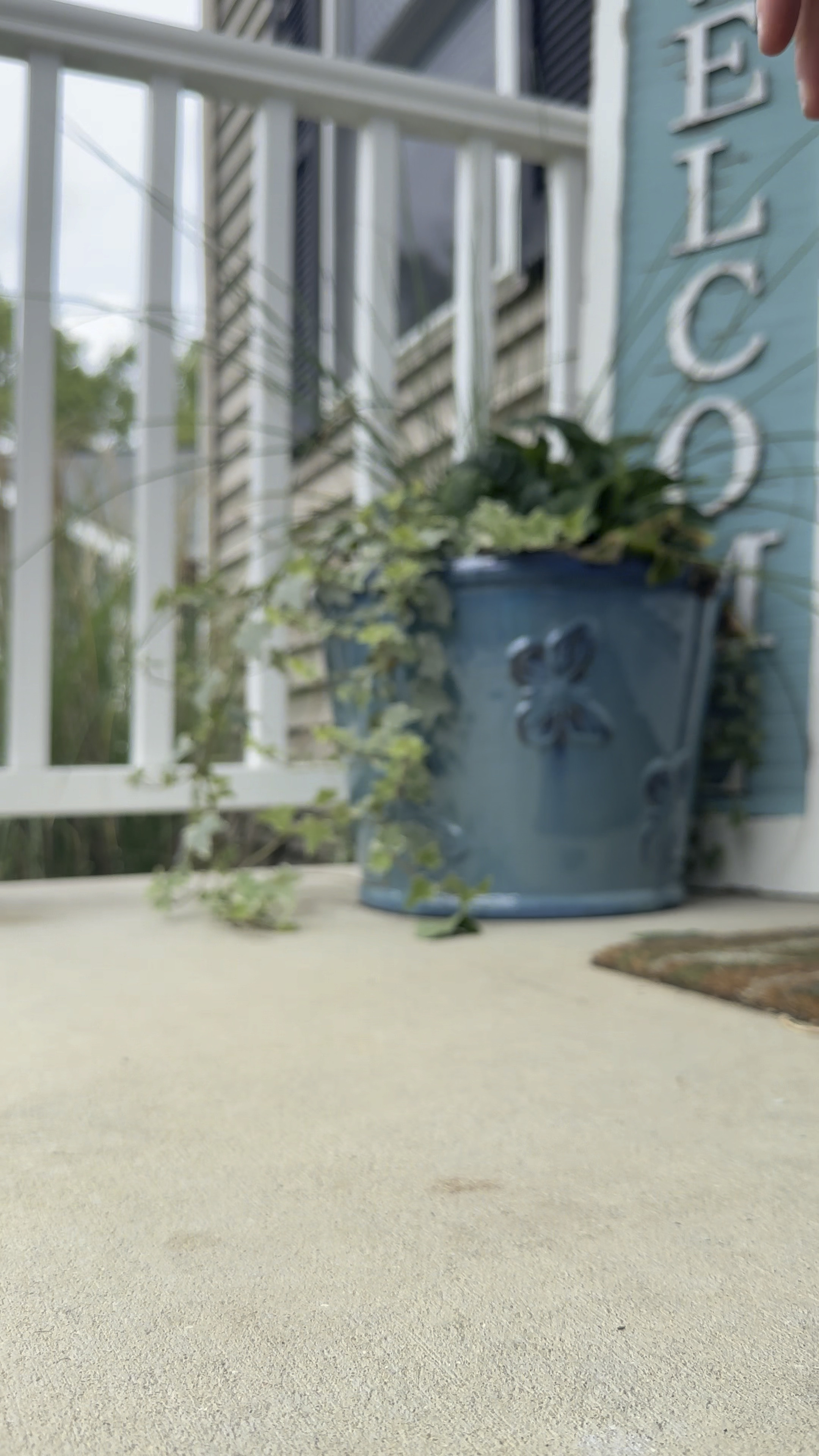 new favorite gym shoes ✨

#LTKfitness #LTKstyletip #LTKshoecrush