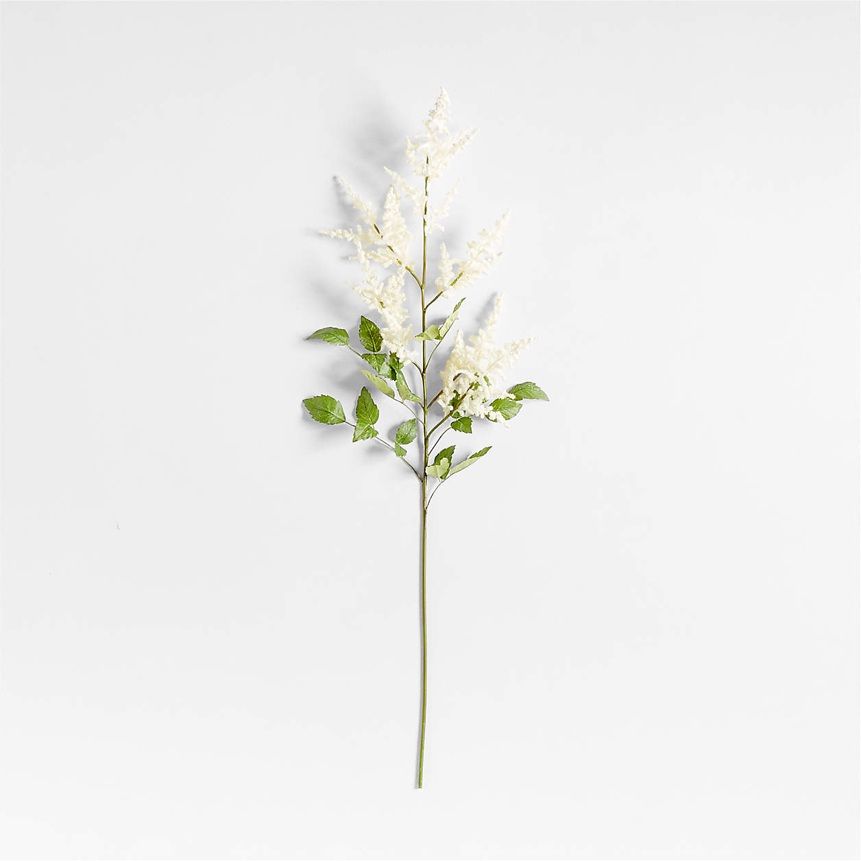 Faux White Astilbes Stem 40" by Abigail Ahern + Reviews | Crate & Barrel | Crate & Barrel