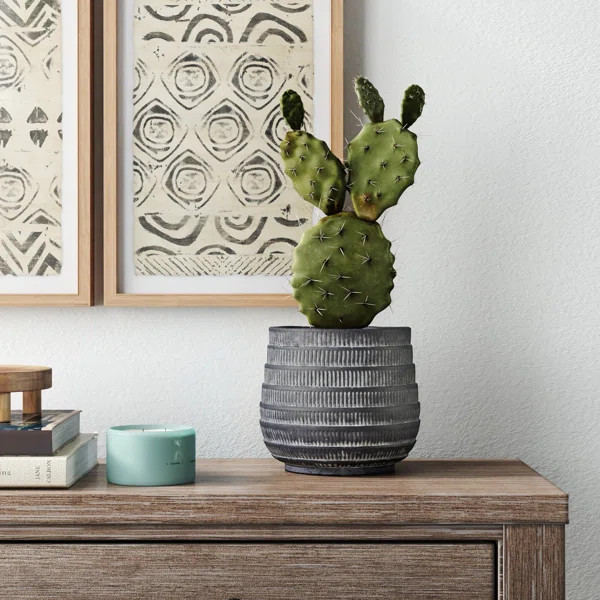 Hubble Pot Planter | Wayfair North America