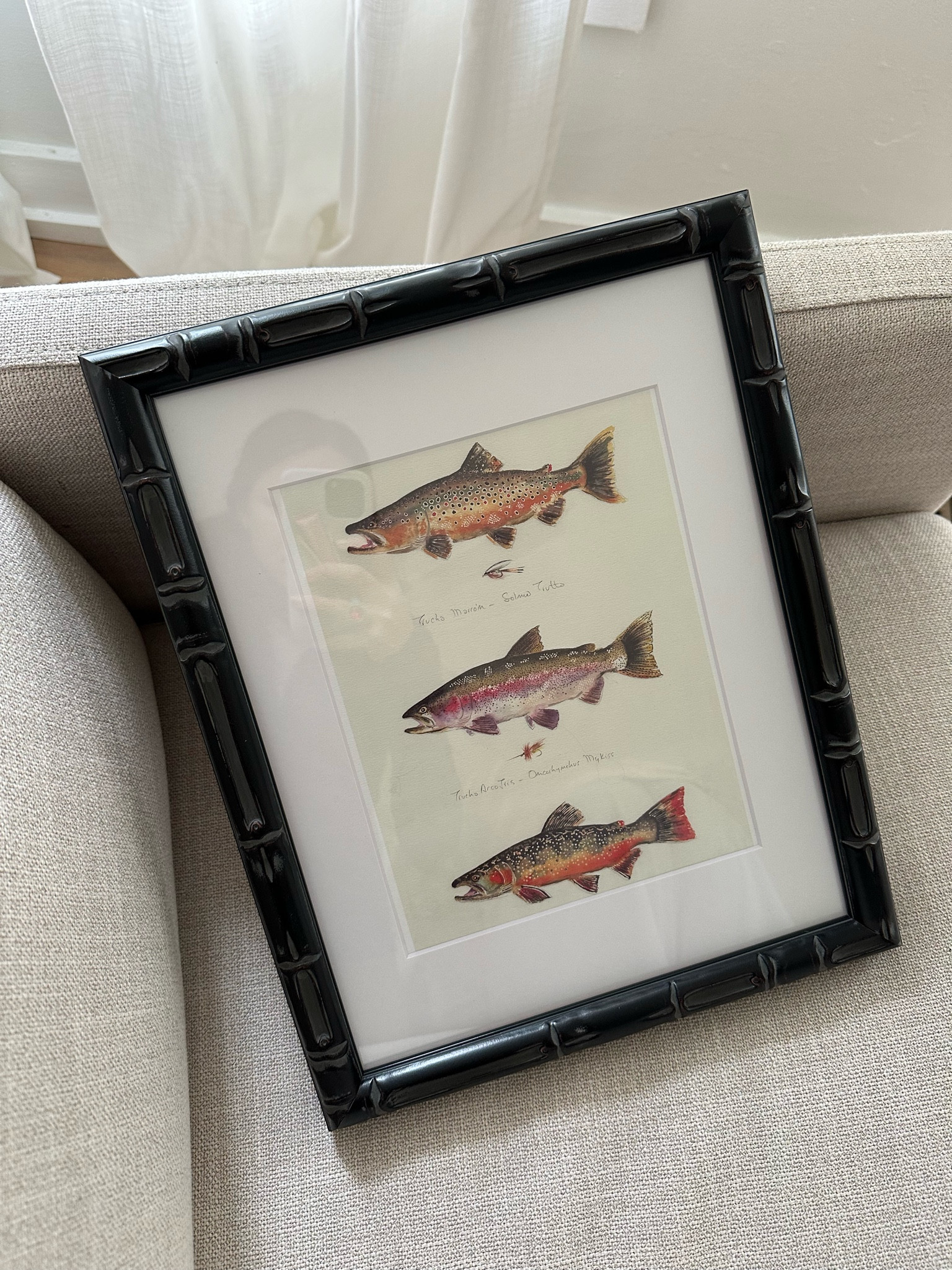 $20 11x14 bamboo frame 🫶🏻

#LTKfindsunder100 #LTKhome #LTKfindsunder50