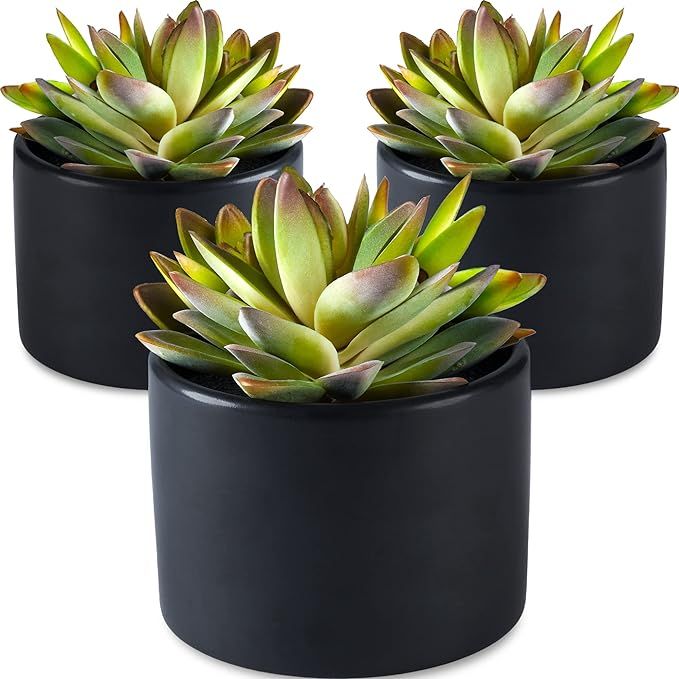 SEEKO Artificial Succulents 3 Pack Faux Potted Plant Decor - Realistic Faux Succulents Perfect Sm... | Amazon (US)
