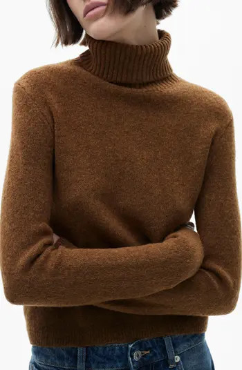 Mariana Turtleneck Sweater | Nordstrom