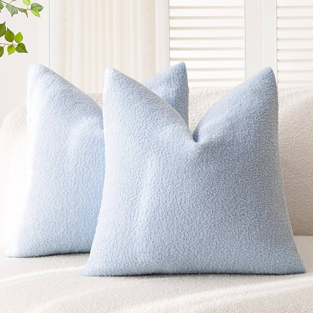 Foindtower Pack of 2, Curly Faux Fur Decorative Throw Pillow Covers Soft Fuzzy Plush Cushion Case with Zipper Cozy Pillowcase for Home Living Room Couch Bed Sofa 20 x 20 Inch, Light Blue | Amazon (US)