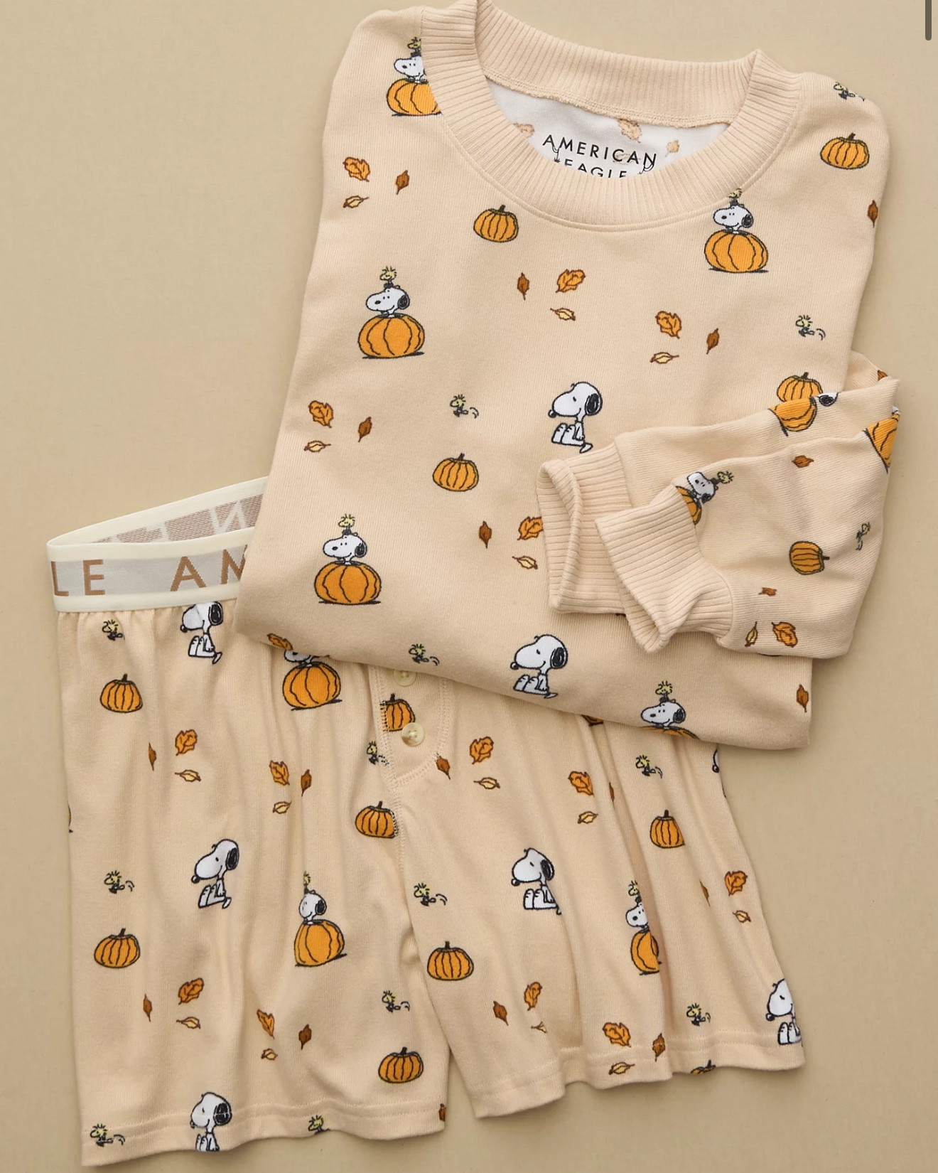 The viral fall snoopy pj’s are BACK IN STOCK 🍁🙂‍↕️

#LTKHoliday #LTKHalloween #LTKSeasonal