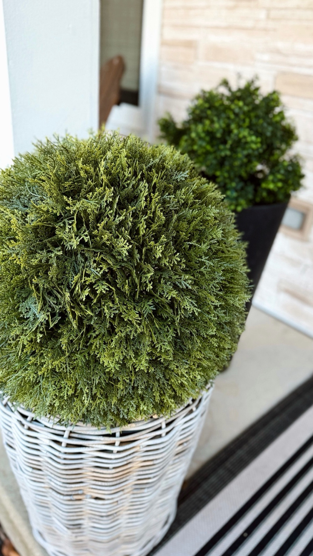 Faux is the way to go 🤍 these are gorgeous and such a good Walmart find. They’re big, heavy, and so beautiful. Already ordered more for the backyard around the pool 🙌🏼 high sellout risk… this is a must grab and they come assembled + fluffed ✨! 

#LTKHome #LTKvlog