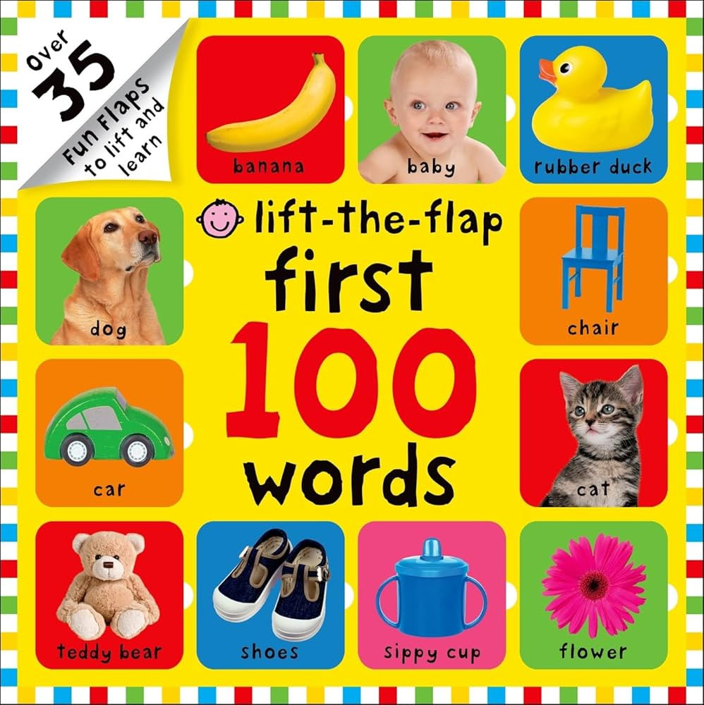 First 100 Words Lift-the-Flap: Over 35 Fun Flaps to Lift and Learn | Amazon (US)