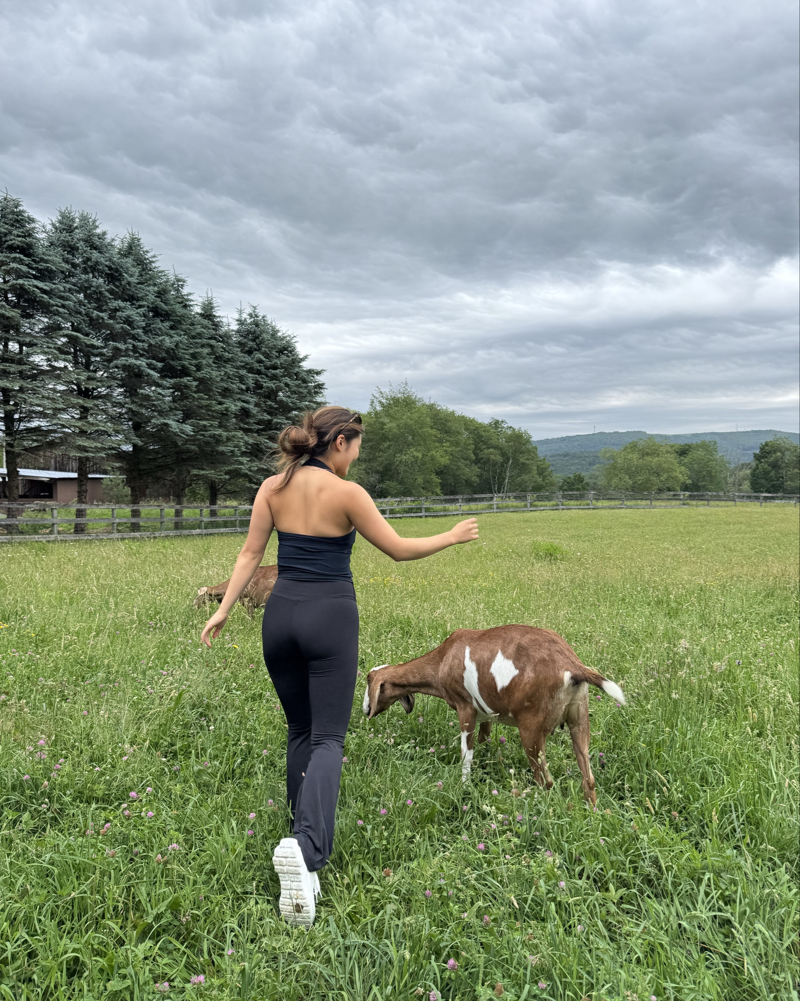 Goat yoga look ☀️

#LTKTravel #LTKBeauty #LTKStyleTip