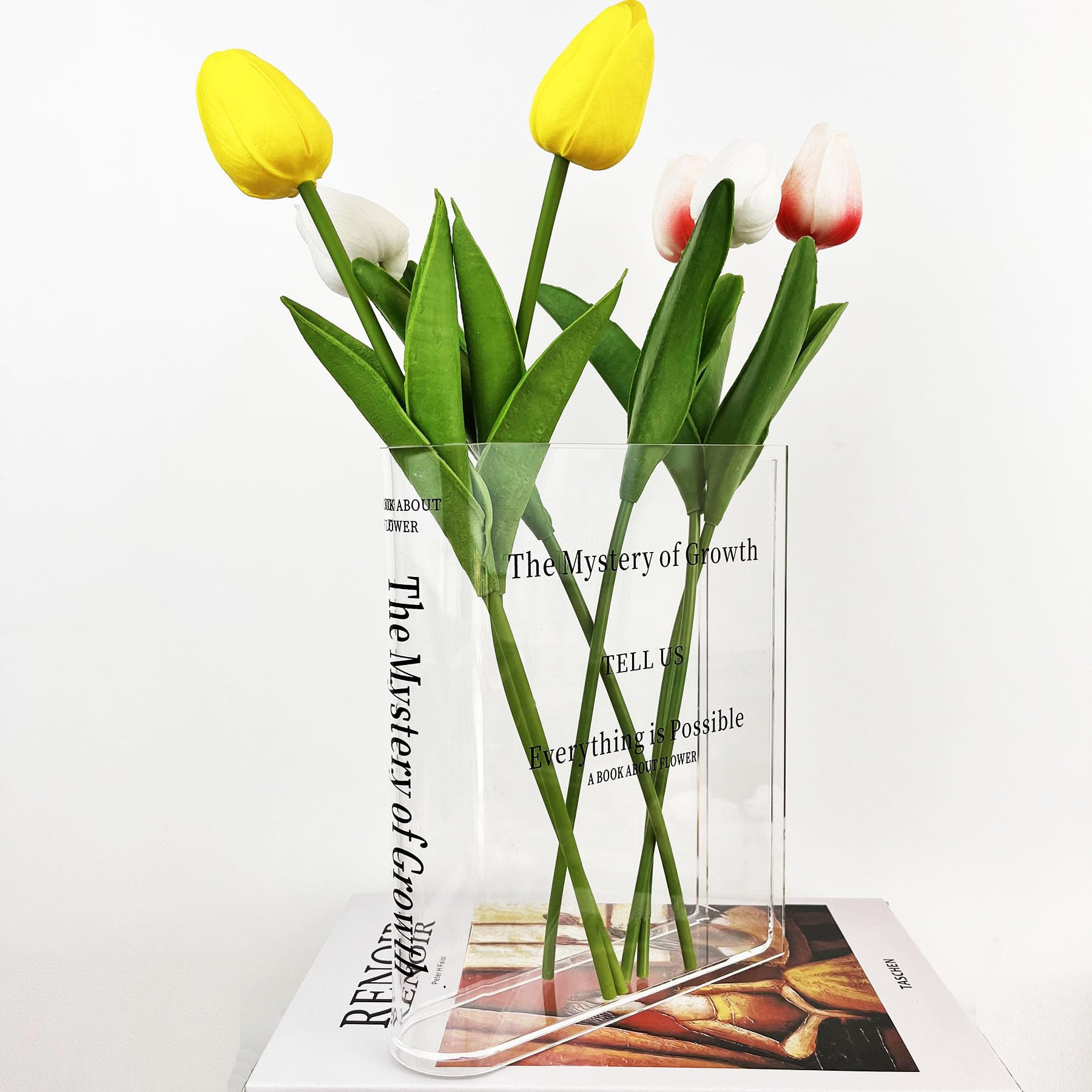 Acrylic Book Vase for Flowers, Modern Aesthetic Flowers Vase for Bookshelf, Desk, Room, Office, H... | Amazon (US)