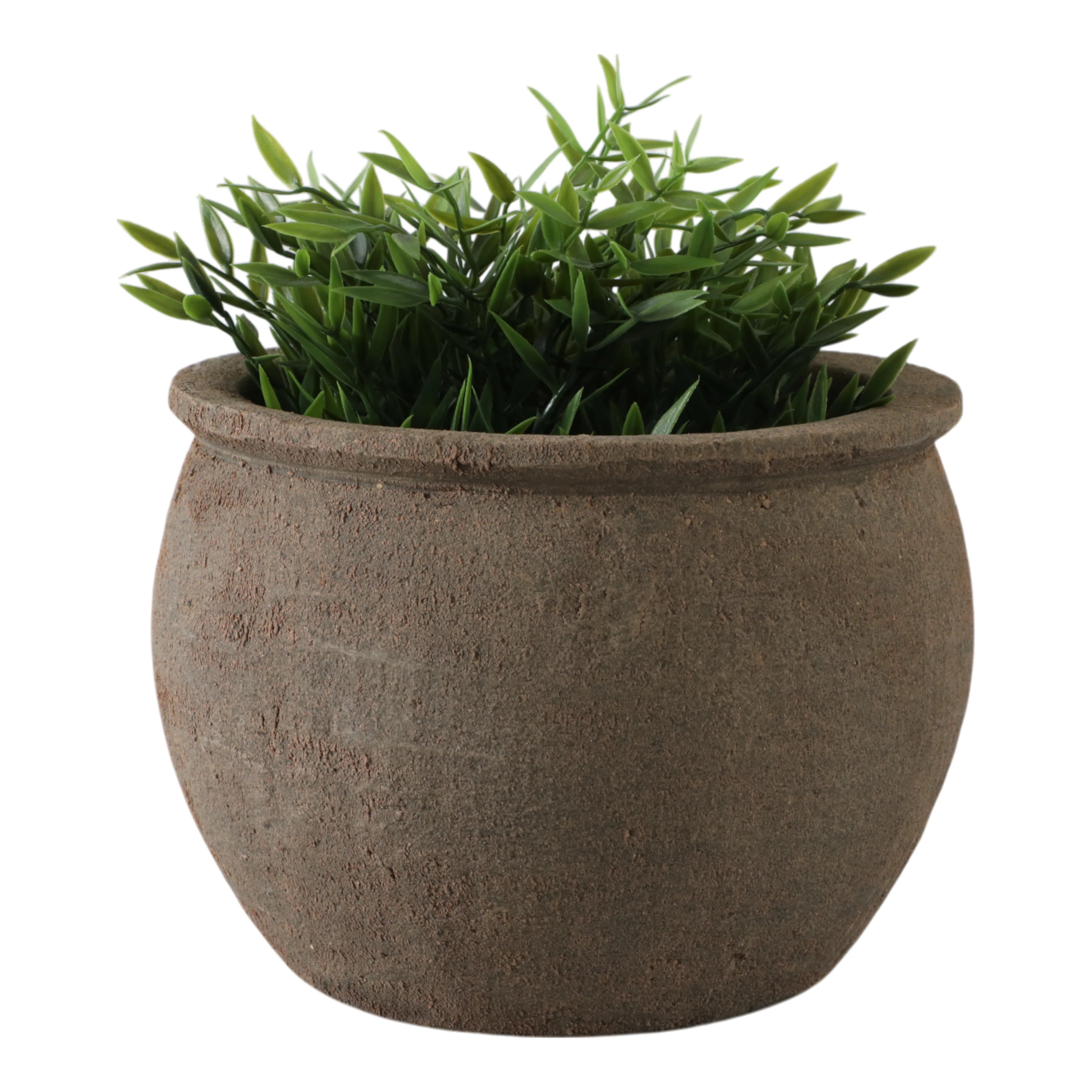 Charlton Home® Traditional Pot Planter | Wayfair North America