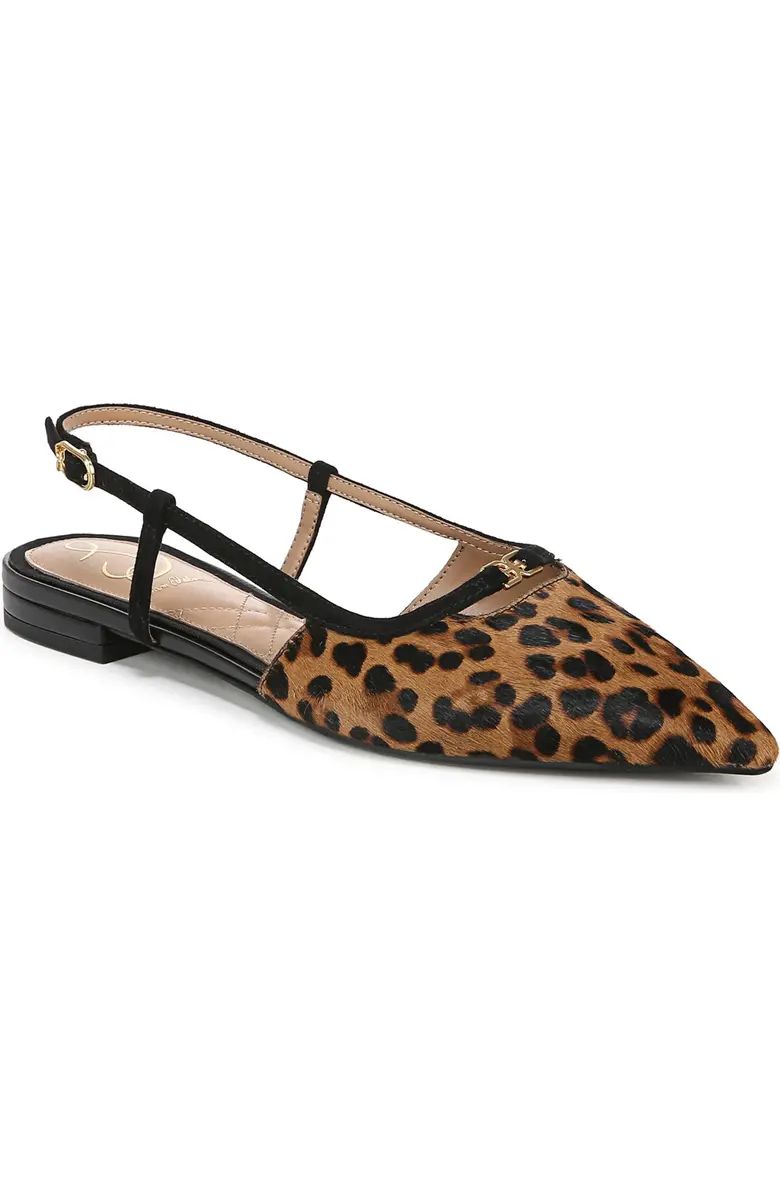 Cohen Pointed Toe Flat (Women) | Nordstrom