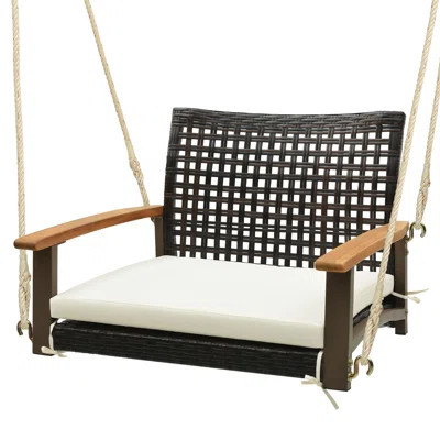 Patrisia Porch Swing | Wayfair North America