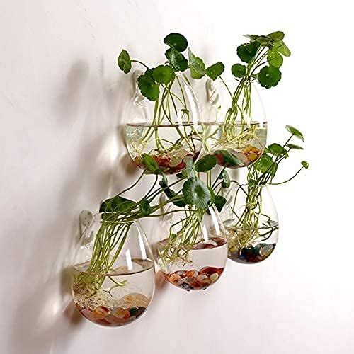 5 Packs Wall Hanging Planters Glass Plant Pots Water Plant Containers Glass Flower Pots Wall Hang... | Amazon (US)