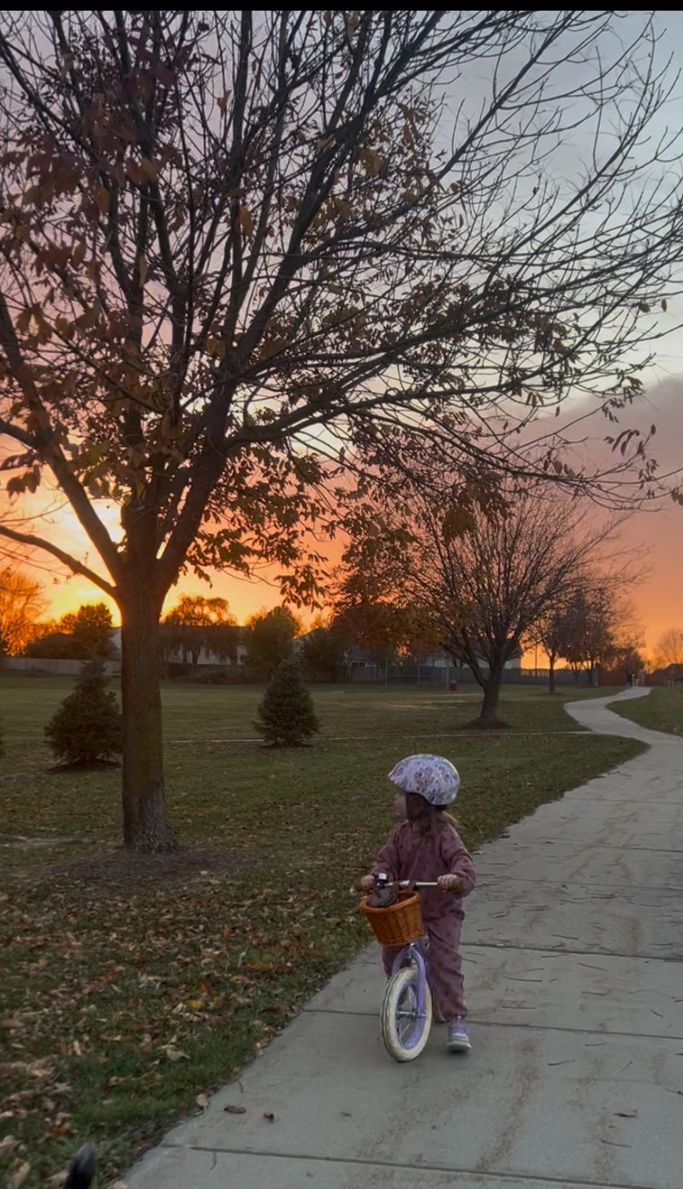 Links for all the things we used in our morning routine 🧡

#LTKFamily #LTKFindsUnder100 #LTKFindsUnder50