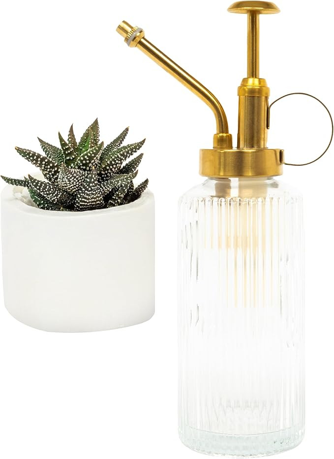 Useful Co. Clear Glass Plant Mister for inside, Mister for Plants, Plant Sprayer Mister, Decorati... | Amazon (US)