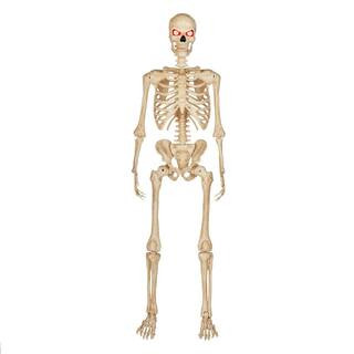 5 ft. LED Ultra Pose-N-Stay Skeleton | The Home Depot