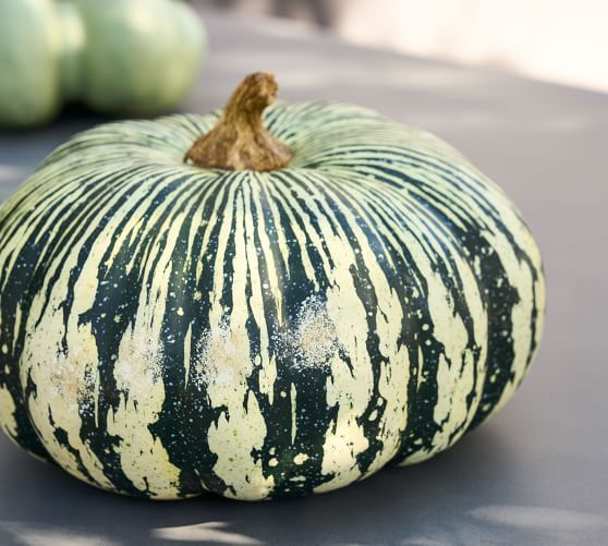 Faux Pumpkins & Gourds | Pottery Barn (US)