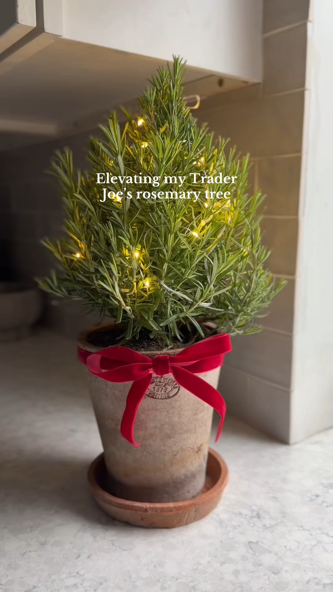 Cute Christmas counter decor! Trader Joe’s for the win. 

#LTKHoliday #LTKHome