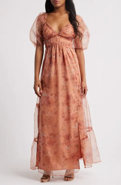 Lulus Daphne Floral Print Organza Gown in Rusty Rose Floral at Nordstrom, Size X-Large | Nordstrom