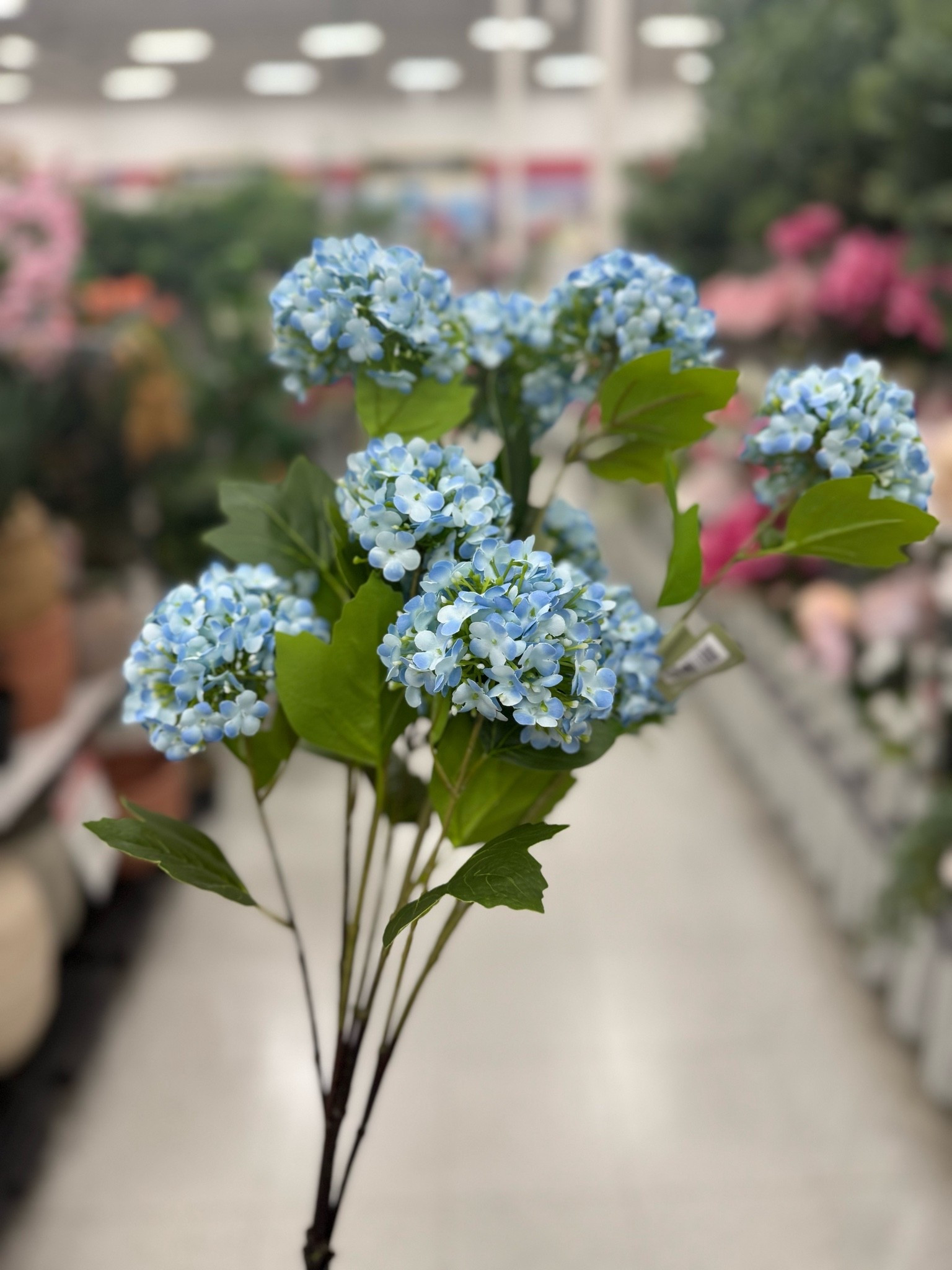 Blue snowball stems | pottery barn dupe | spring stems

#LTKSaleAlert #LTKHome
