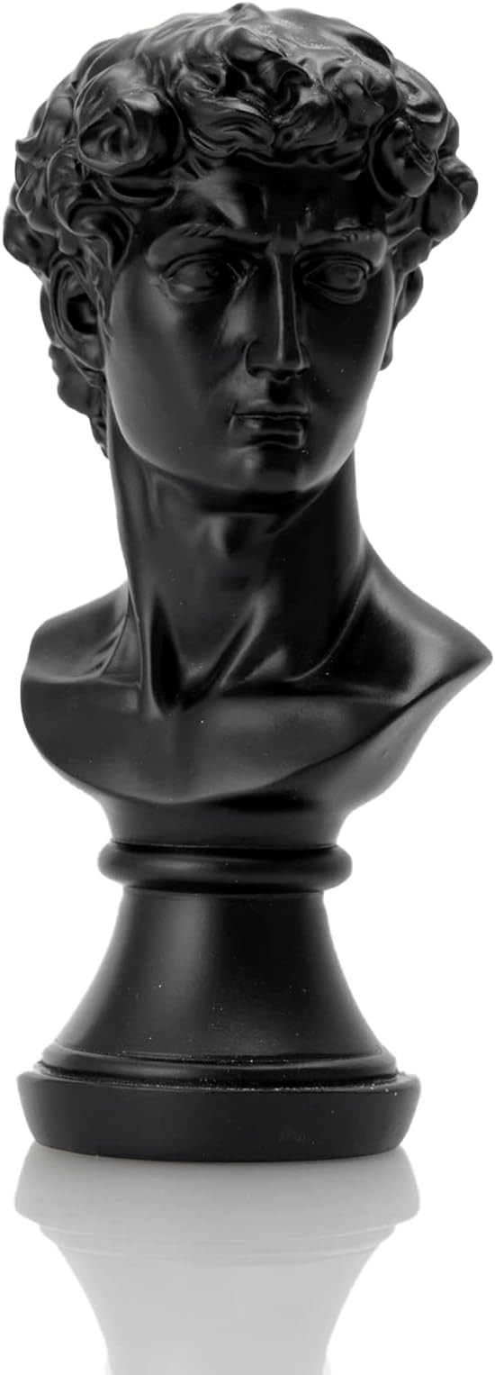 Black David Statue, 8 inch/20.3 cm Greek David Bust Statue, Resin Greek Mythology Bust Sculpture ... | Amazon (US)