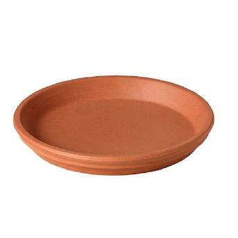 4.33-in Terracotta Clay Plant Saucer | Lowe's