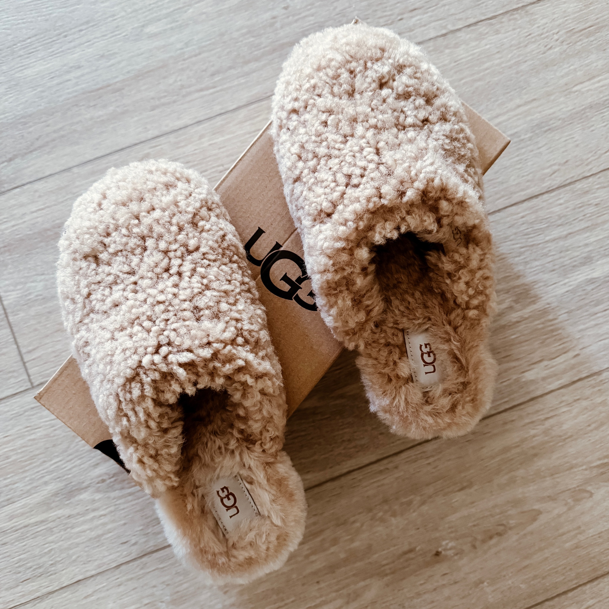 Cozy slippers for cold winter nights 🧸

Shop the selection below! 

#LTKHoliday #LTKSeasonal #LTKGiftGuide