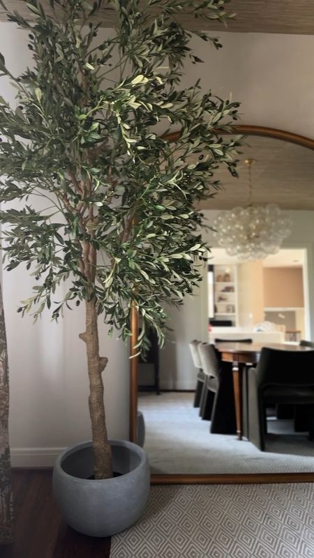 This 10 foot olive tree is one of my favorite Amazon finds! It is so realistic and adds such a beautiful touch of greenery and warmth to my dining room!

Amazon find, Amazon home decor, faux trees, faux florals, dining room inspiration, home decor inspiration, dining room decor, budget friendly finds, looks for less 

#LTKHome #LTKVideo #LTKStyleTip