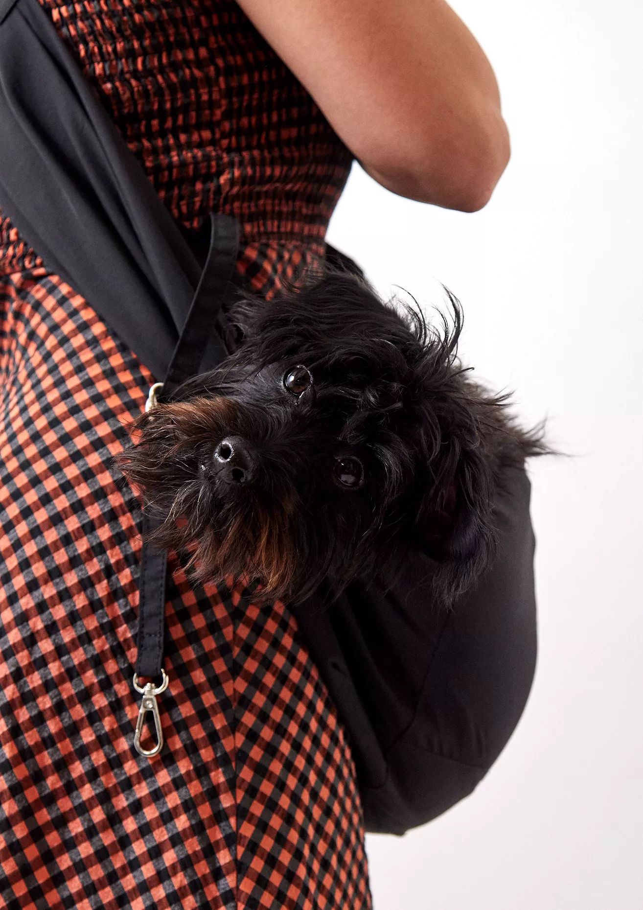 UO Petfitters Dog Sling | Urban Outfitters (EU)