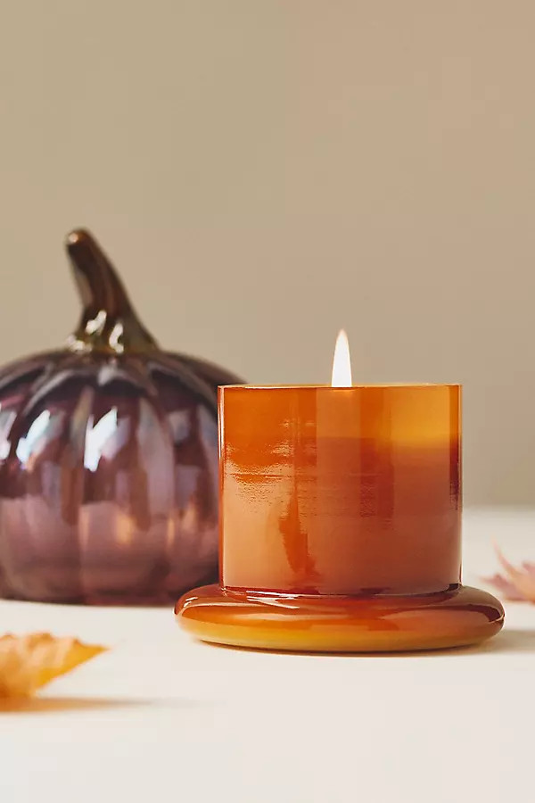 Woody White Birch & Pumpkin Glass Pumpkin Cloche Candle | Anthropologie (US)