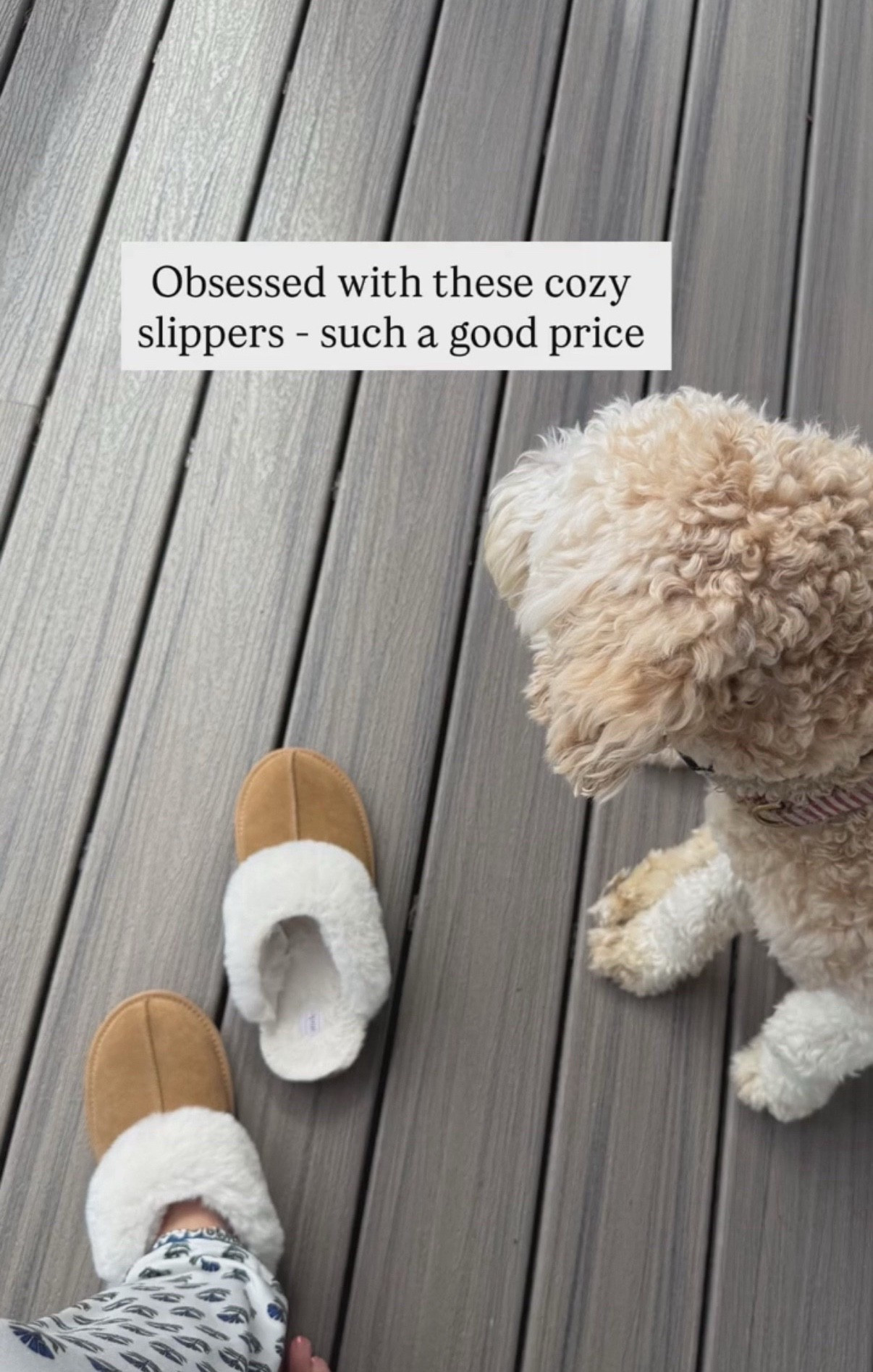 Love these cozy slippers from Target and would be such a great gift! 

#LTKCyberWeek #LTKHoliday #LTKGiftGuide