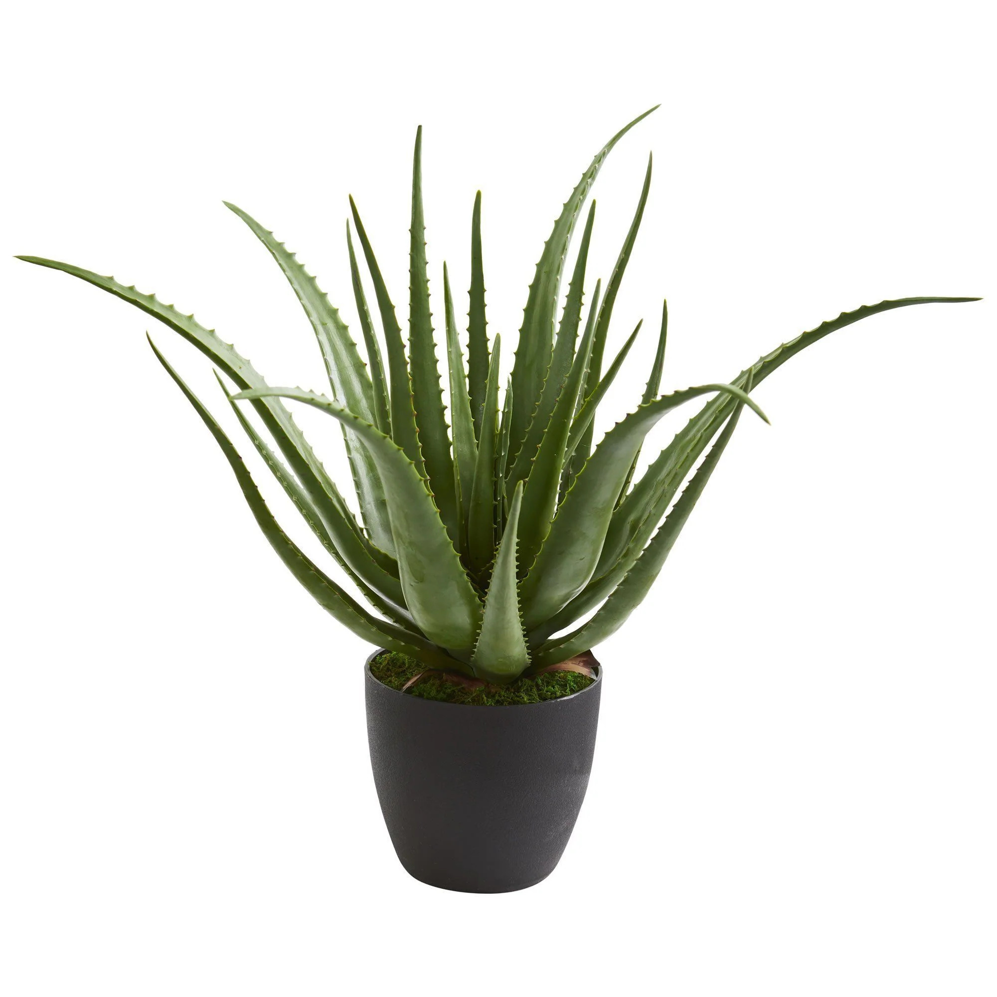 Aloe Artificial Plant | Nearly Natural | Nearly Natural