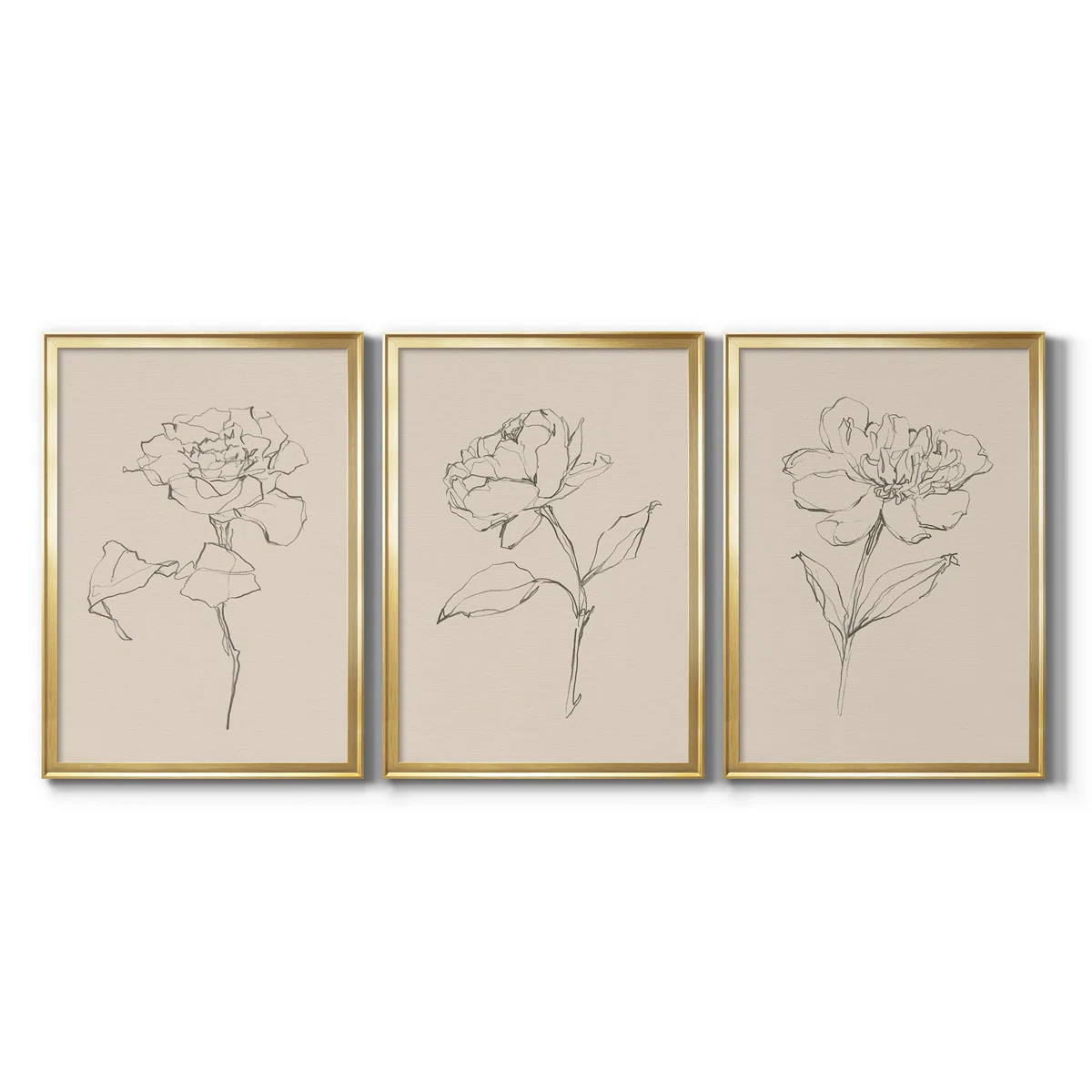 " Floral Contour Study I " 3 - Pieces Painting Print | Wayfair North America