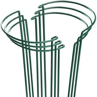 15.8 in. Heavy-Duty Evergreen Peony Plant Support Stakes (6-Pack) | The Home Depot