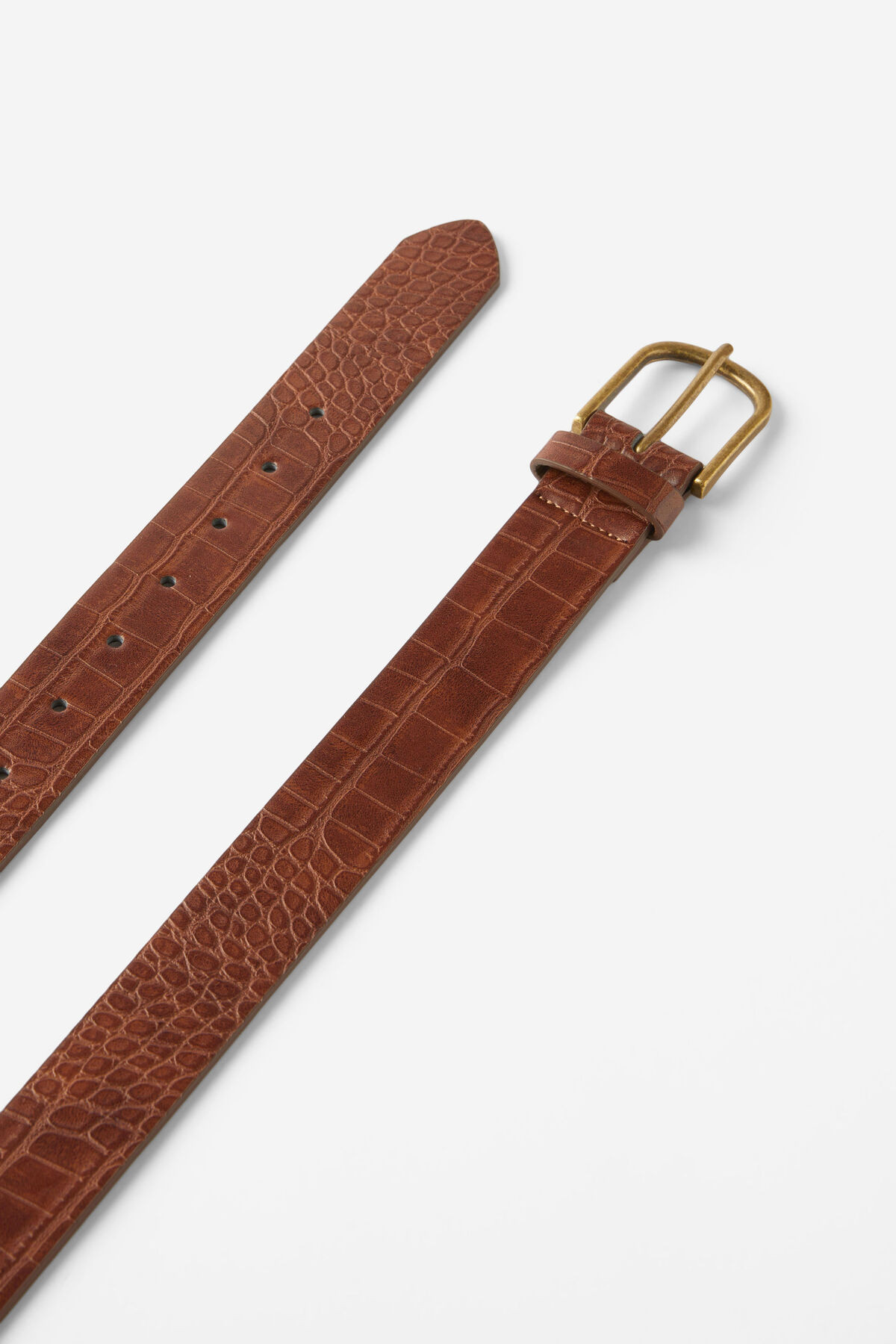 Gator Belt | Cotton On (ANZ)