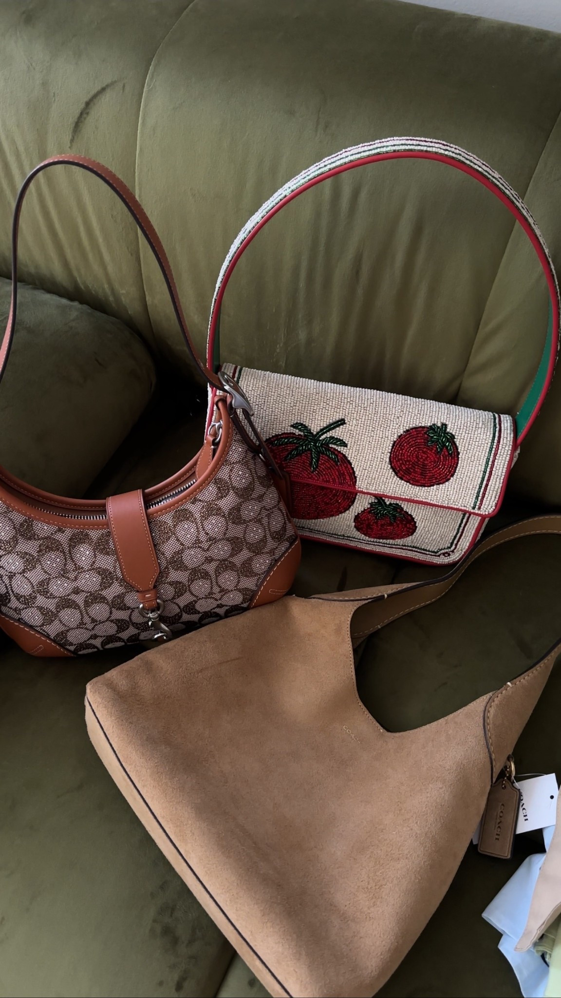 new bags, staud Tommy bag, coach bag 