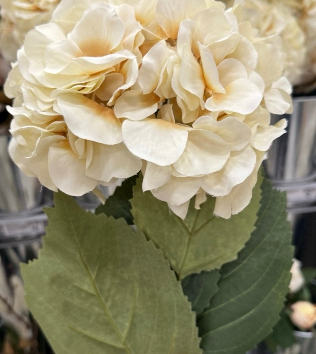 🌿 The gorgeous VIRAL stem is back in stock!
I’m already planning to use this beauty after the holidays too — it’s one of those timeless pieces that works year-round ✨

These sell out fast every time they restock, so grab it while you can and don’t forget to use the 25% OFF coupon code to save even more 🙌

#LTKHoliday #LTKHome #LTKSaleAlert