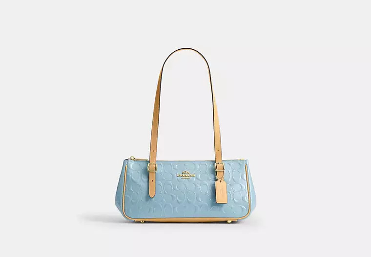 Asher Shoulder Bag In Signature Leather | Bags | Coach | COACH® | Coach (US)