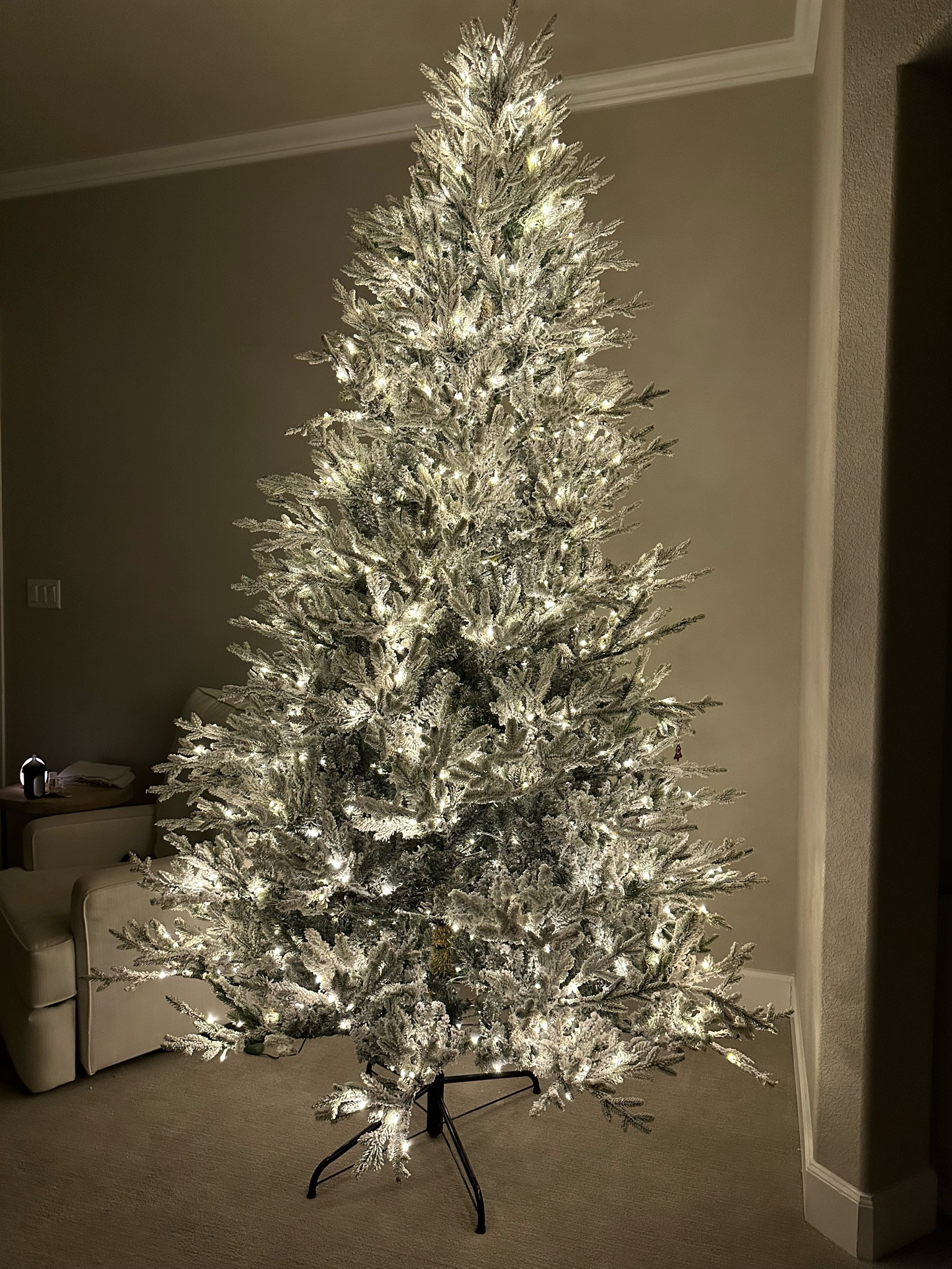 Viral flocked Christmas tree is up!!! Also comes in a non flocked version! She’s beautiful!!! And just $499 for the 9ft 

#LTKSeasonal #LTKHoliday #LTKhome