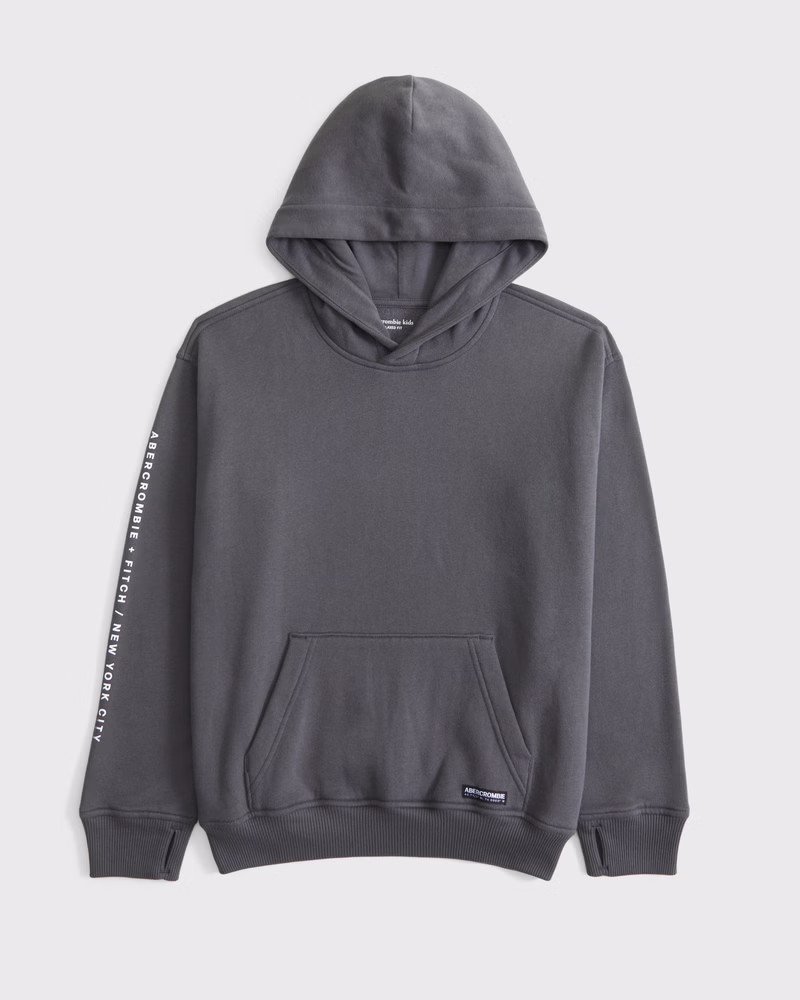 imagery logo popover hoodie | Abercrombie & Fitch (US)