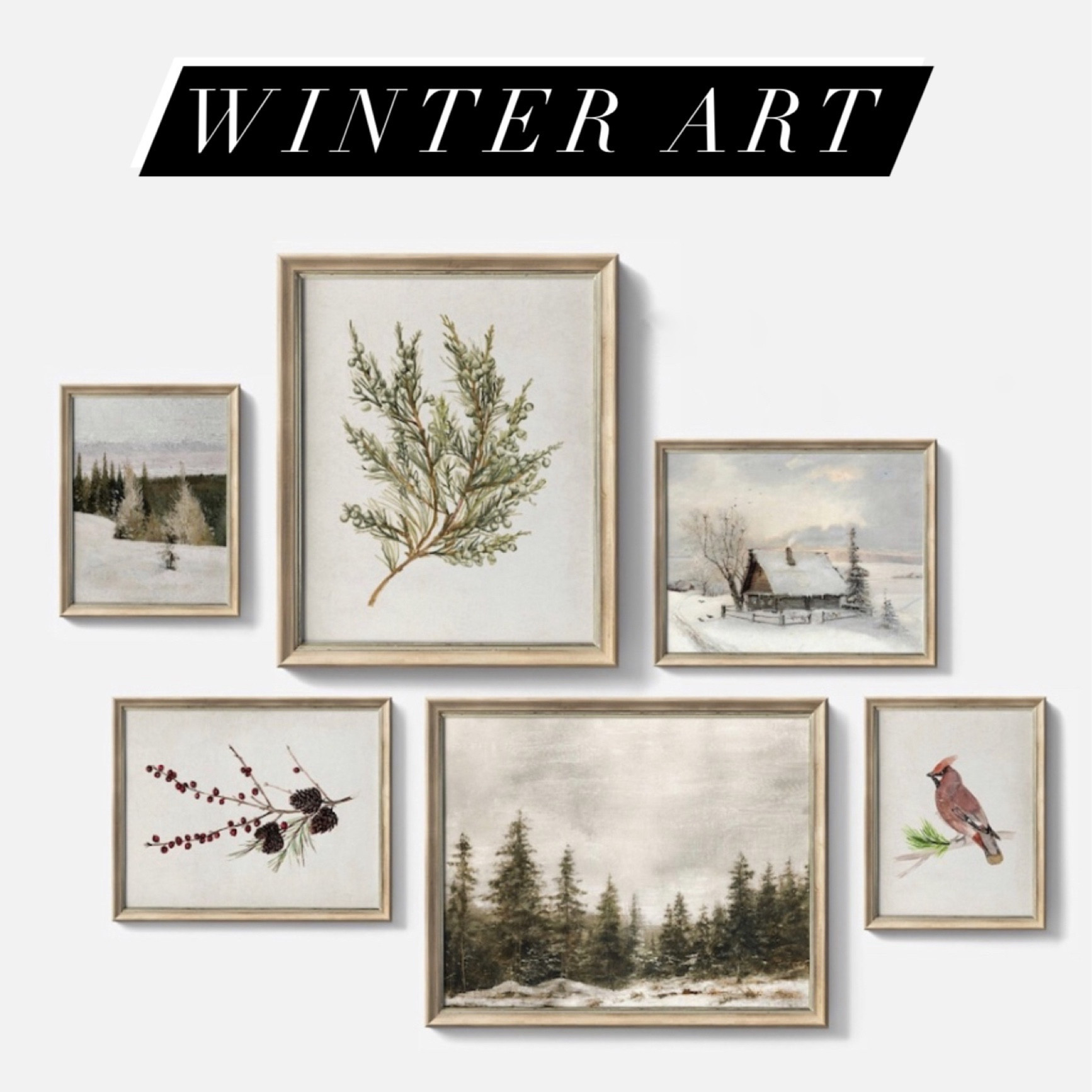 Digital Downloads & Prints